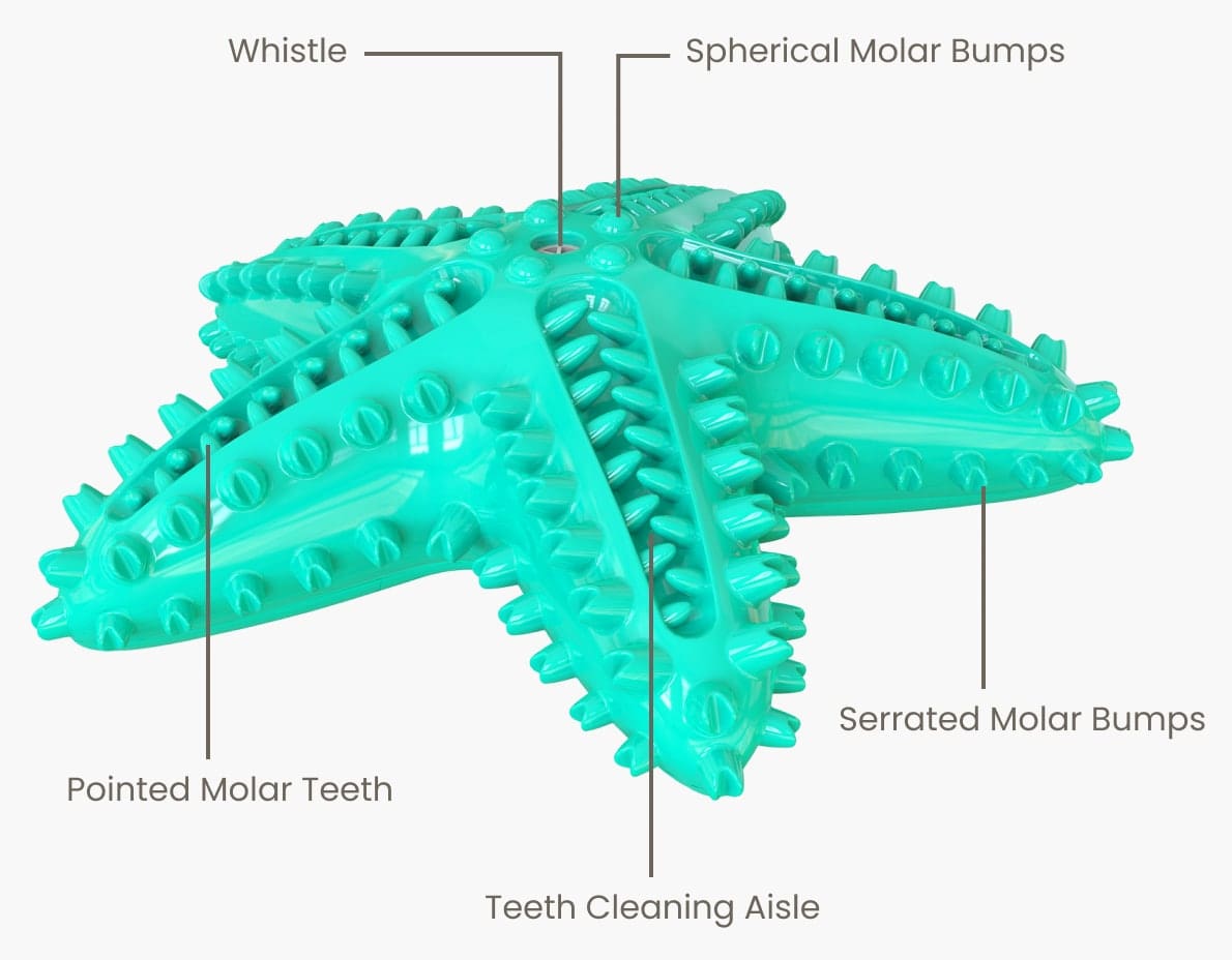 Starfish Chew Toy Benefits For Dogs